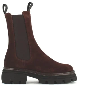 Cinders Shoe Heaven Casual Ankle | Ankle*Cinders Edit Long Chelsea Boot Brown Suede