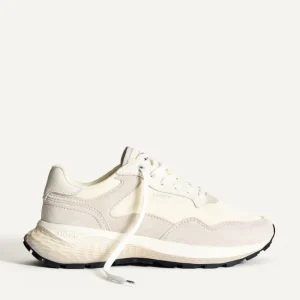 Cinders Shoe Heaven Trainers*Hoff Quebec Trainer Multi